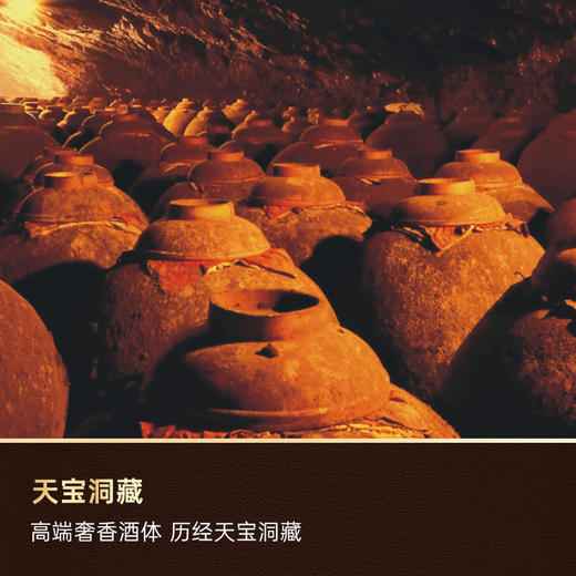 郎酒 红运郎 53度500ml 商品图5