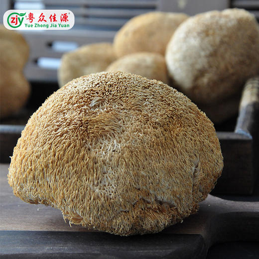 连州粤众佳源精选猴头菇八边封自立袋150克食用菌干制品 商品图2