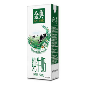 金典纯牛奶 250ml*12盒/箱