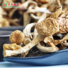 连州粤众佳源精选滑子菇八边封自立袋200克食用菌干制品 商品缩略图3