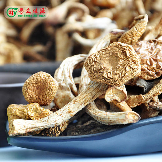连州粤众佳源精选滑子菇八边封自立袋200克食用菌干制品 商品图3