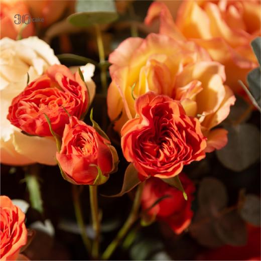 【鲜花类订单需提前1天预定】金牛座·光芒，36鲜花 商品图2