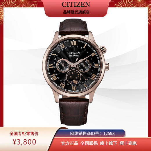 西铁城日本官方正品光动能月相盈亏月份星期日历男表AP1059-19E 商品图9