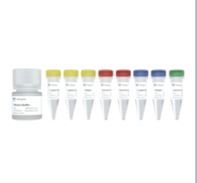 EpiArt DNA Methylation Library Kit for Illumina V3