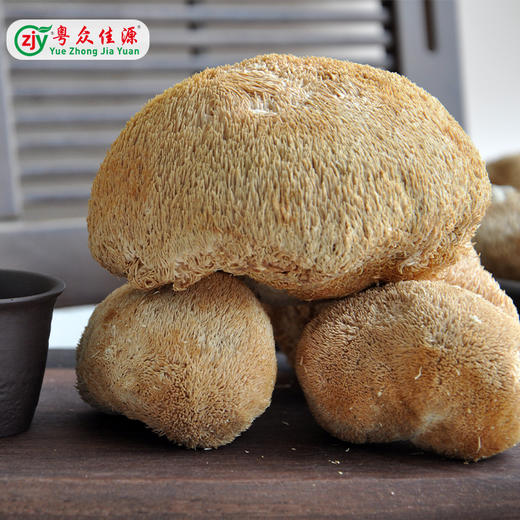 连州粤众佳源精选猴头菇八边封自立袋150克食用菌干制品 商品图1