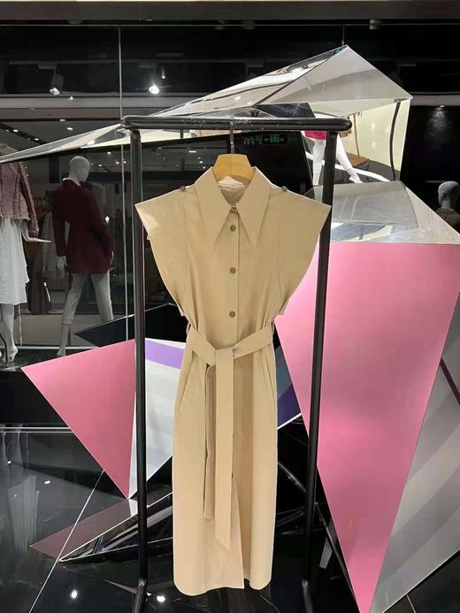 连衣裙 商品图4