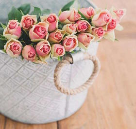 “你的套路我都知道”