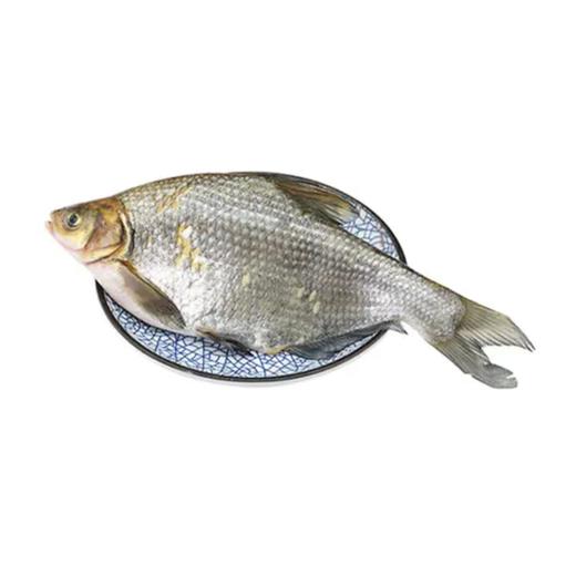 新鲜鳊鱼 600g±50g（默认杀好）  【BC】【XZ】 商品图0