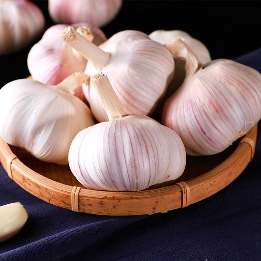 【LY】金乡大蒜 400g-500g±30g/袋 商品图2