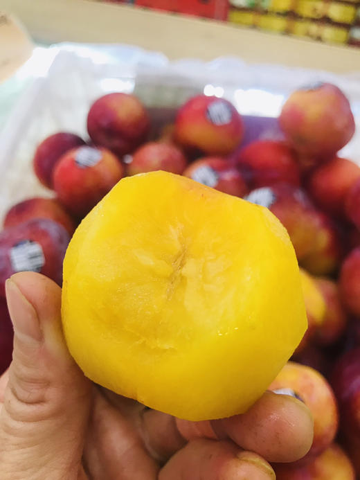 宏丰精选智力进口太阳李硬度好甜度高李子味浓郁268元一斤