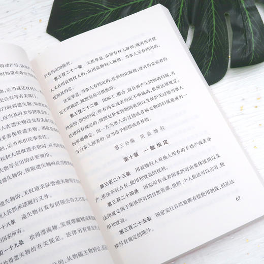 【正版】中华人民共和国民法典 法律出版社条文理解与适用释义解读单行本附草案说明明法总则物权法劳动法公司合同法婚姻家庭法 商品图2