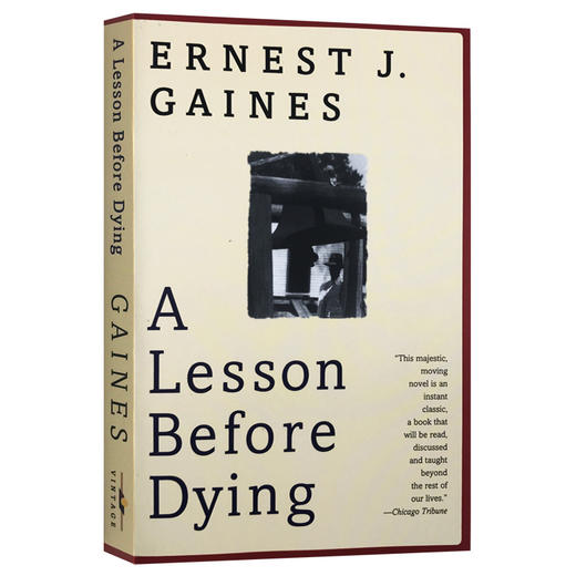 我的灵魂永不下跪 英文原版小说 A Lesson Before Dying 临刑前的zui后一课 垂死的教训 英文版电影死亡记事原著可搭杀死一只知更鸟 商品图0