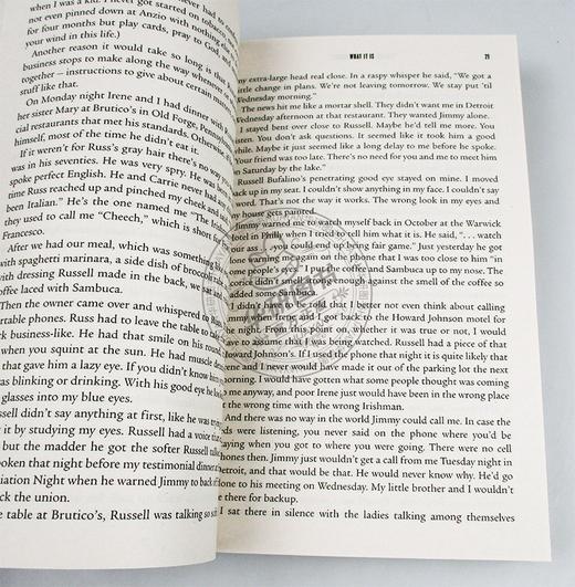 听说你刷房子了 英文原版 I Heard You Paint Houses 马丁斯科塞斯电影的同名纪实文学 英文版进口原版英语书籍 商品图2