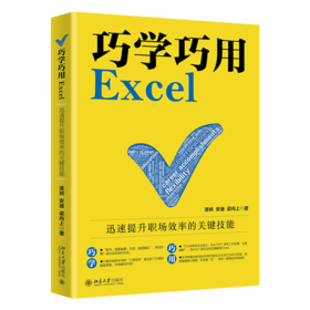 巧学巧用Excel：迅速提升职场效率的关键技能  凌祯,安迪,梁向上  北京大学出版社    