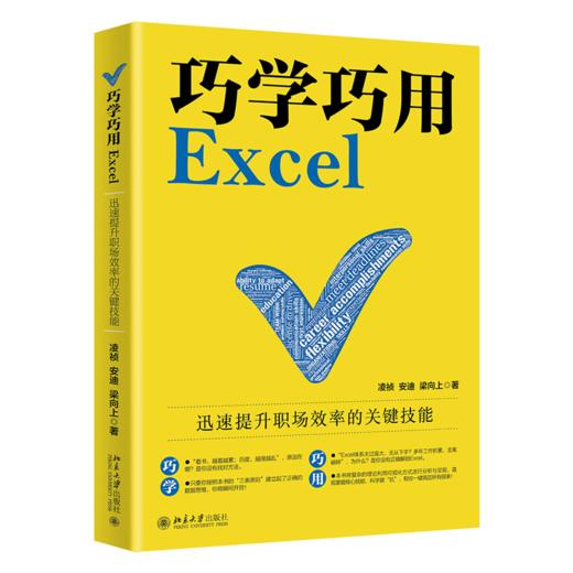 巧学巧用Excel：迅速提升职场效率的关键技能  凌祯,安迪,梁向上  北京大学出版社     商品图0