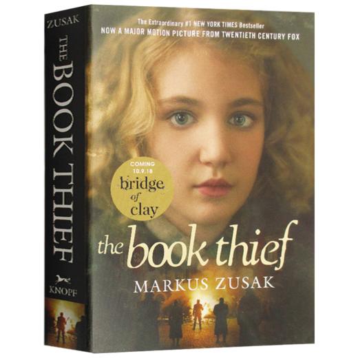 偷书贼 英文原版 The Book Thief 英文版 电影原著小说 Markus Zusak 进口书籍 商品图0