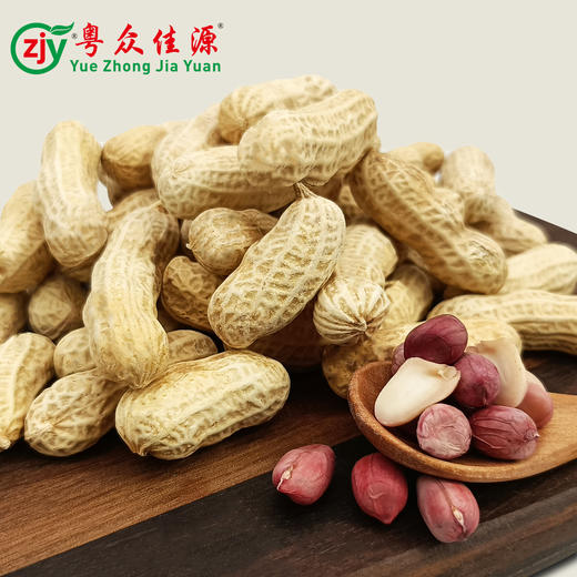 连州粤众佳源水煮咸干花生自立袋350克休闲食品果脯蜜饯开袋即食 商品图3