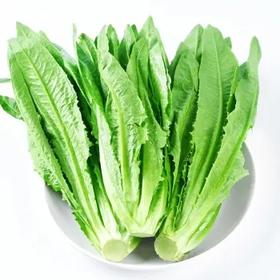 【LY】油麦菜 300±40g/袋