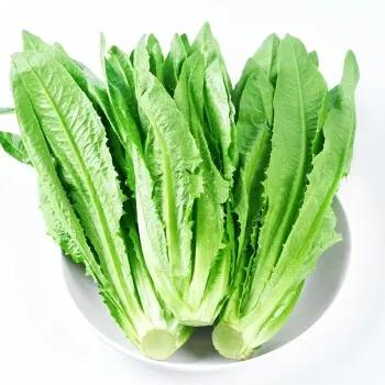 【LY】油麦菜 300±40g/袋 商品图0