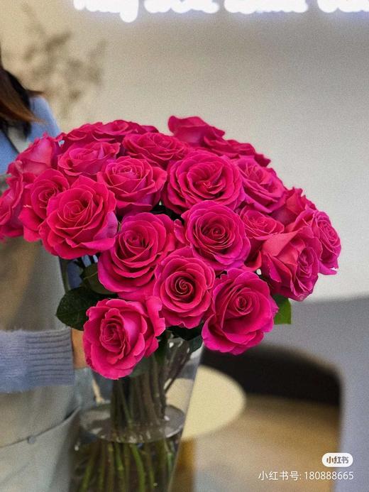 禾韵弗洛伊德 商品图0