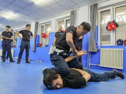 预售IKMF警用马伽术定制T恤 商品图6