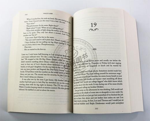 Collins英文原版 I Know This Much Is True 我知道这是真的 HBO新剧原著小说 绿巨人马克鲁法洛主演 英文版进口英语书籍 商品图1