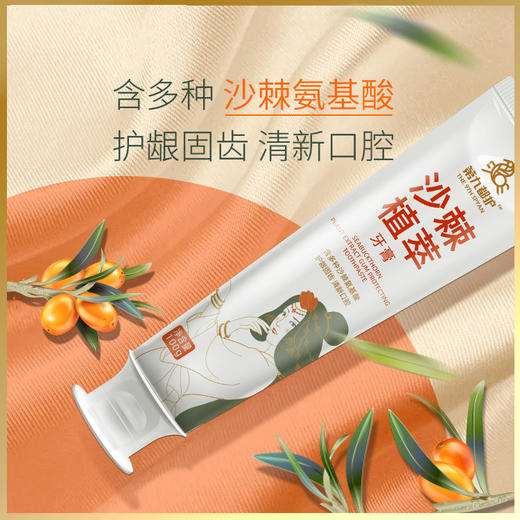 沙棘护龈固齿植萃牙膏120g/支 商品图1