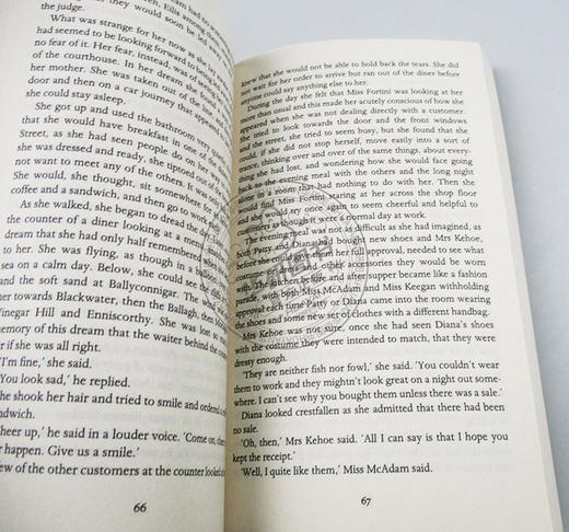 正版 布鲁克林 英文原版小说 Brooklyn MTI 2016奥斯卡奖提名电影小说 科尔姆托宾 英文版进口原版英语书籍 商品图2