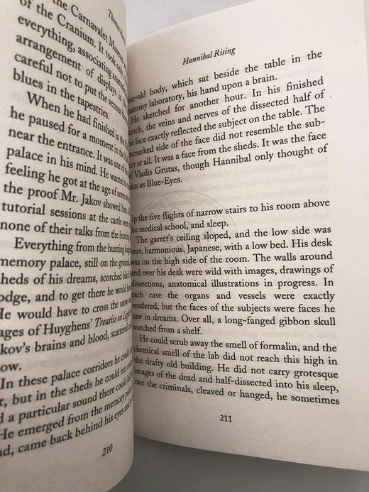 沉默的羔羊系列 汉尼拔崛起 英文原版 Hannibal Rising 少年汉尼拔 好莱坞同名电影 英文版心理悬疑小说 进口原版英语书籍 商品图3