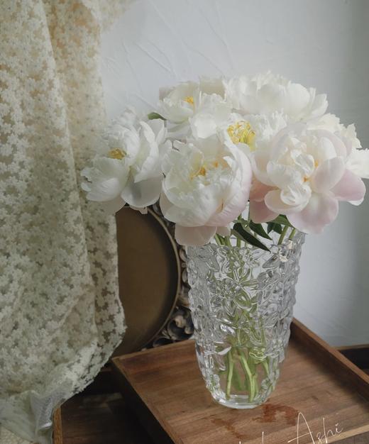 【依依不舍】芍药 -美国小姐  5枝/扎 商品图10