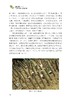 面包果品种资源与栽培利用 商品缩略图1