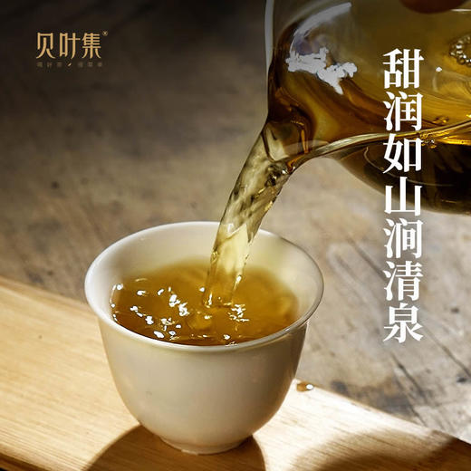 【5年陈白茶】七彩白玉 | 云南勐海巴达山老树果香白茶饼357g 商品图5