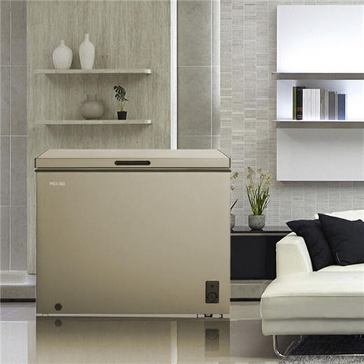 美菱(MELING)BC/BD-306DT 306升单温冷藏冷冻转换冰柜 大冷冻能力 商品图4