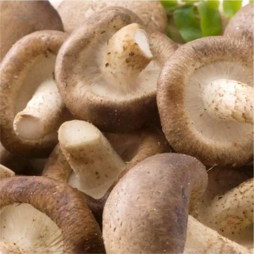 【LY】香菇 约200g/袋 商品图0