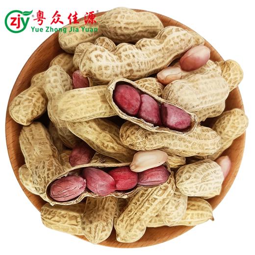 连州粤众佳源水煮咸干花生自立袋350克休闲食品果脯蜜饯开袋即食 商品图4