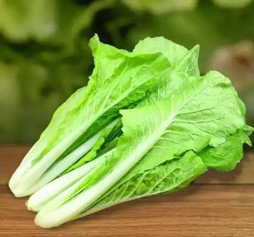 【LY】五号白菜 300±30g/袋 商品图2
