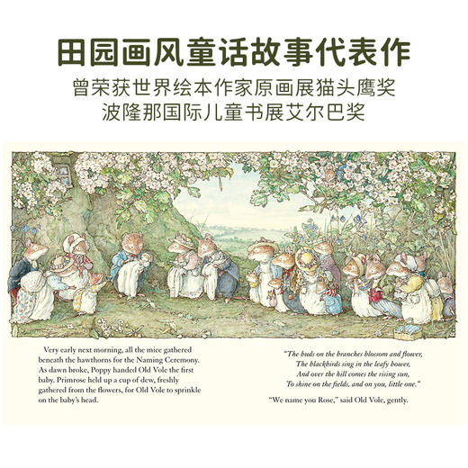有音频 英文原版 野蔷薇村2套8册礼盒装 Brambly Hedge 商品图2