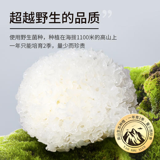 姚淑先有机银耳套装 (买一送一买66g送9g） 商品图3