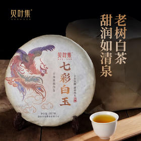 【5年陈白茶】七彩白玉 | 云南勐海巴达山老树果香白茶饼357g