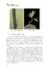 面包果品种资源与栽培利用 商品缩略图5