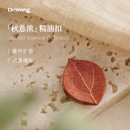 秋意浓精油扣 商品图0