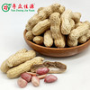 连州粤众佳源水煮咸干花生自立袋350克休闲食品果脯蜜饯开袋即食 商品缩略图2