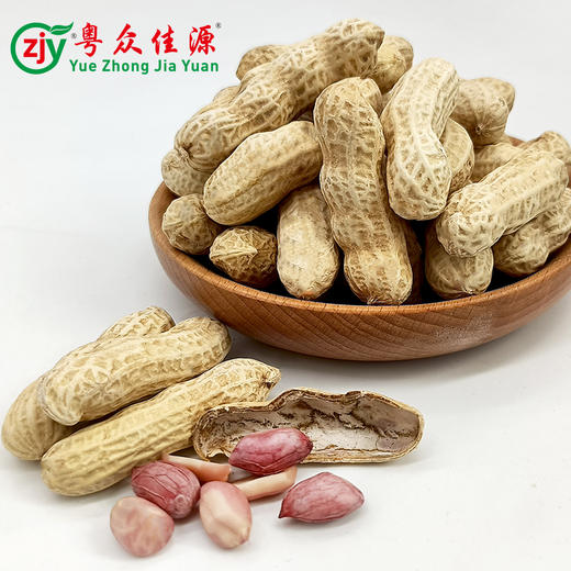 连州粤众佳源水煮咸干花生自立袋350克休闲食品果脯蜜饯开袋即食 商品图2