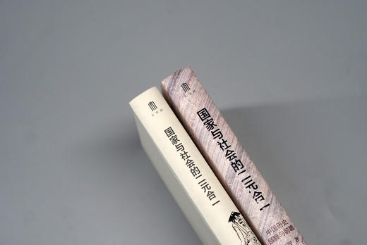 大学问 国家与社会的二元合一：中国历史回顾与前瞻 黄宗智/著 商品图2
