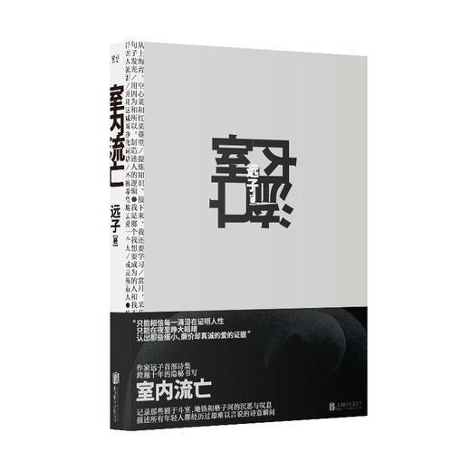 室内流亡 商品图0