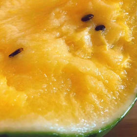 黄西瓜无限回购✅
布丁小兰果肉如同冰激淋一般的口感，吃上一口就爱上，皮薄到可以吃，水份充沛，弹指就裂开，超甜超嫩～～4只/箱