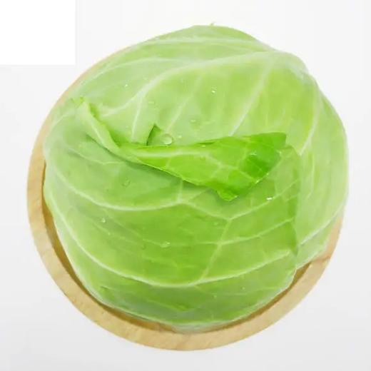 【LY】流星包菜 550g±50g/袋 商品图0