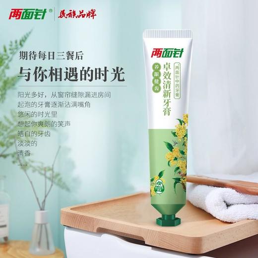 两面针中药卓效清新牙膏170g 商品图2
