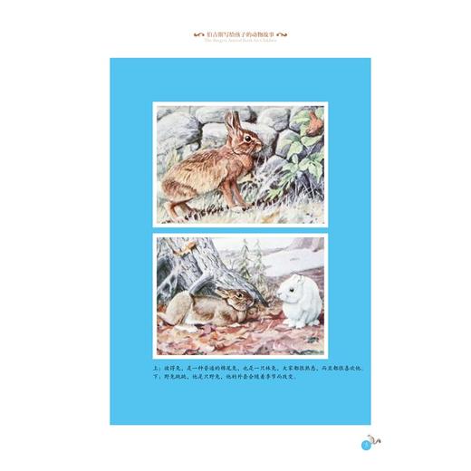 伯吉斯经典自然启蒙系列:伯吉斯写给孩子的动物故事/伯吉斯经典自然启蒙系列/(美)桑顿·伯吉斯/译者:南来寒/浙江大学出版社 商品图5