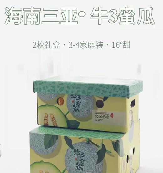海南三亚  吃海芒芒 | 牛3蜜瓜 商品图1